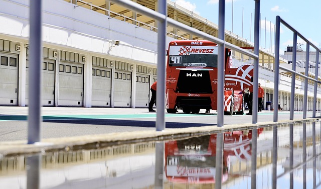 人和运动员 人和运动员