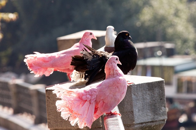 回应为运动 回应为运动