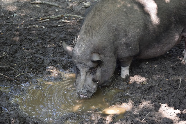 高压力的训 高压力的训